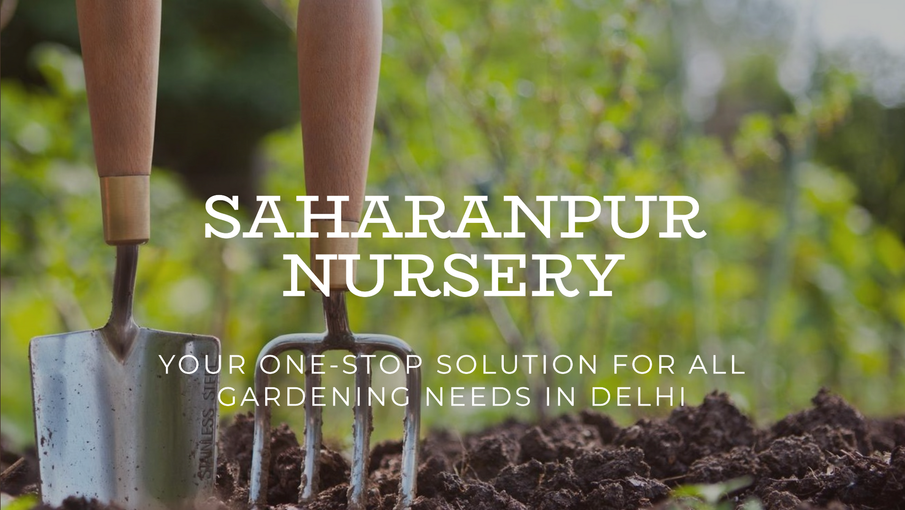 Saharanpur Nursery: Your One-Stop Solution for All Gardening Needs in Delhi