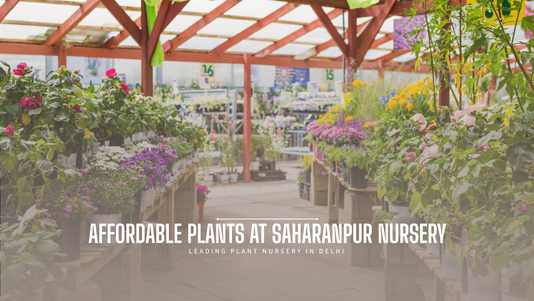 Saharanpur Nursery: Leading Plant Nursery in Delhi with Affordable Prices