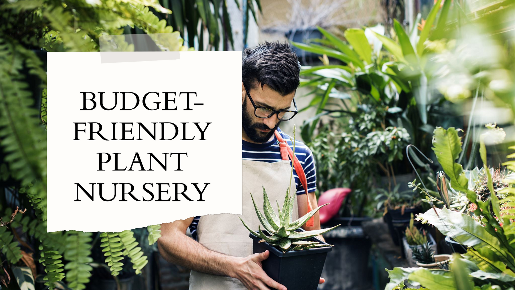 Find the Cheapest Plant Nursery in Delhi for Budget-Friendly Gardening