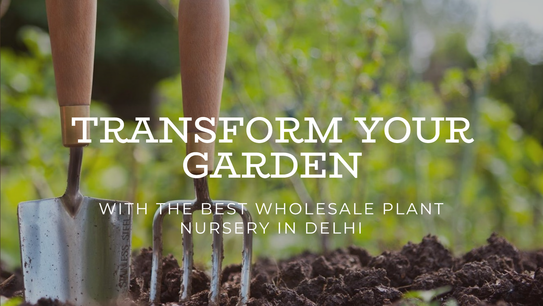 Transform Your Garden with the Best Wholesale Plant Nursery in Delhi
