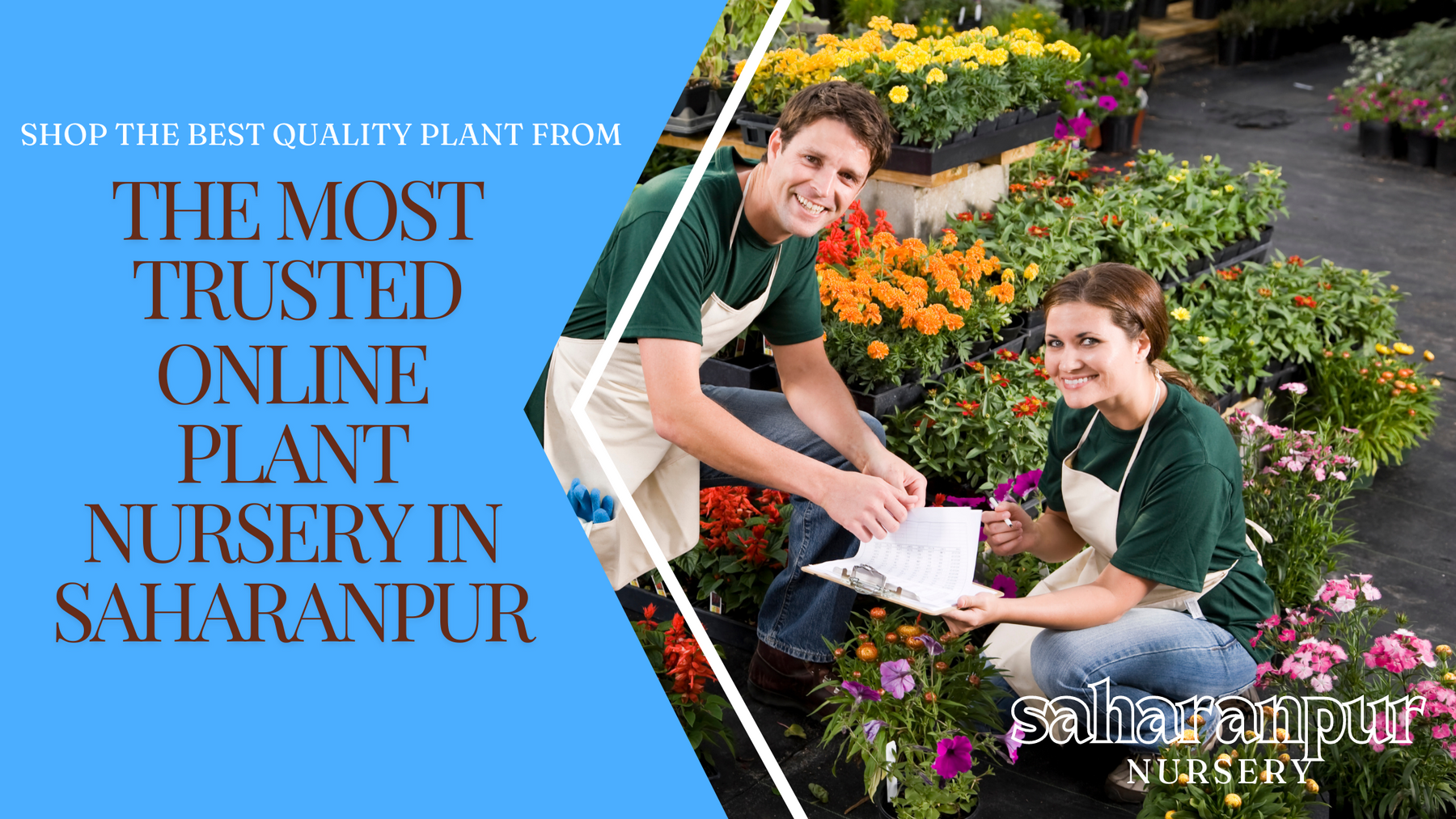 online nursery in saharanpur