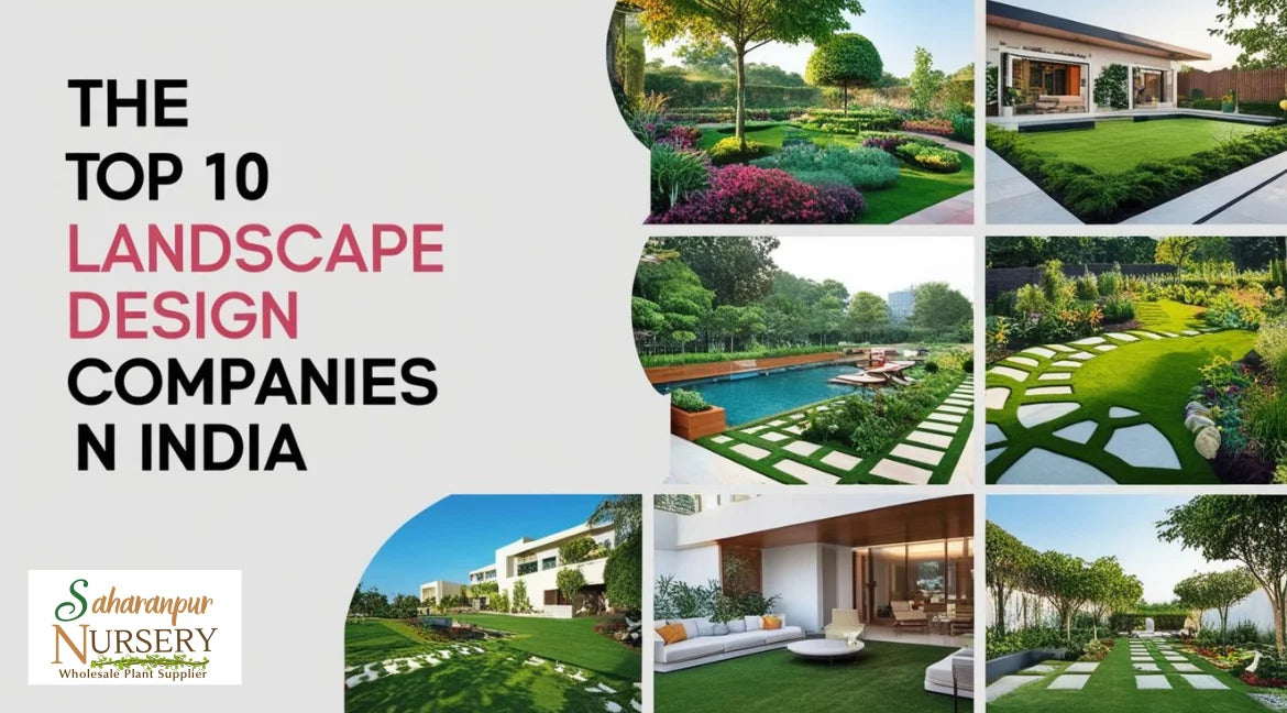 landscaping services, landscaping design, landscaping company, landscaping companies, garden landscaping, Landscaping companies in India, Landscaping in India