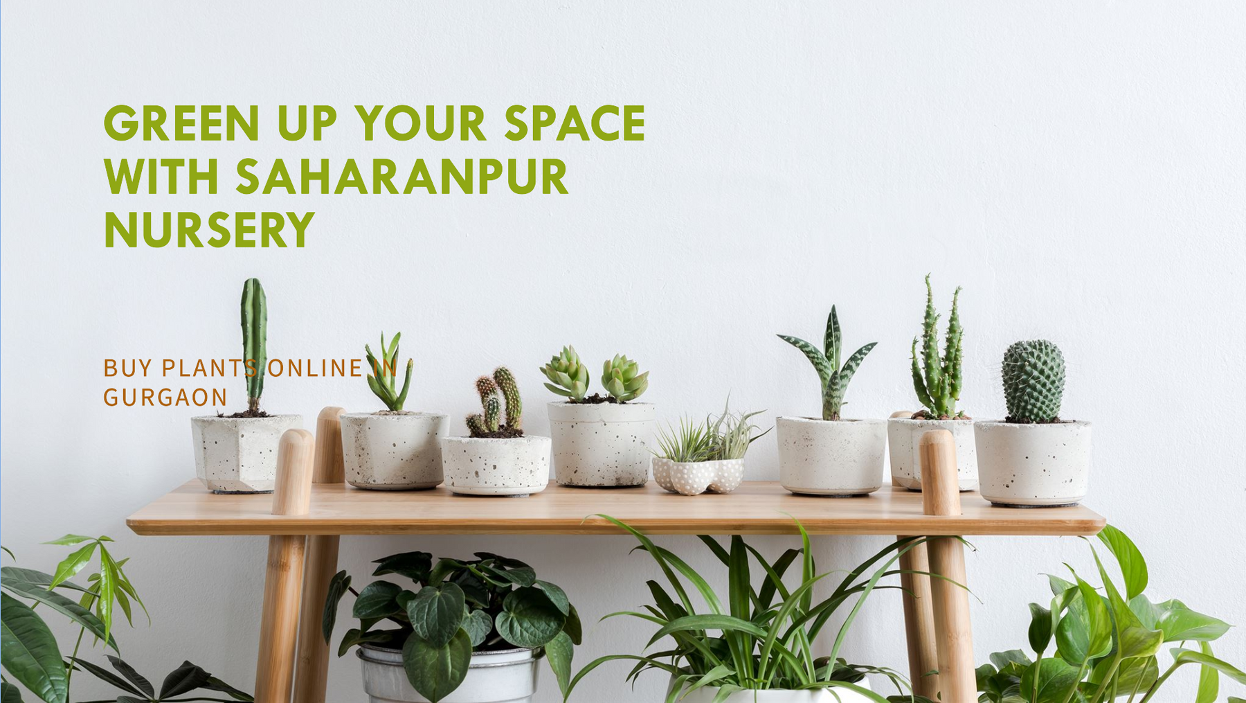 Buy Plants Online Gurgaon: Your Green Destination with Saharanpur Nursery