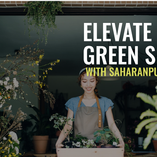 Nursery Bangalore: Elevate Your Green Spaces with Saharanpur Nursery