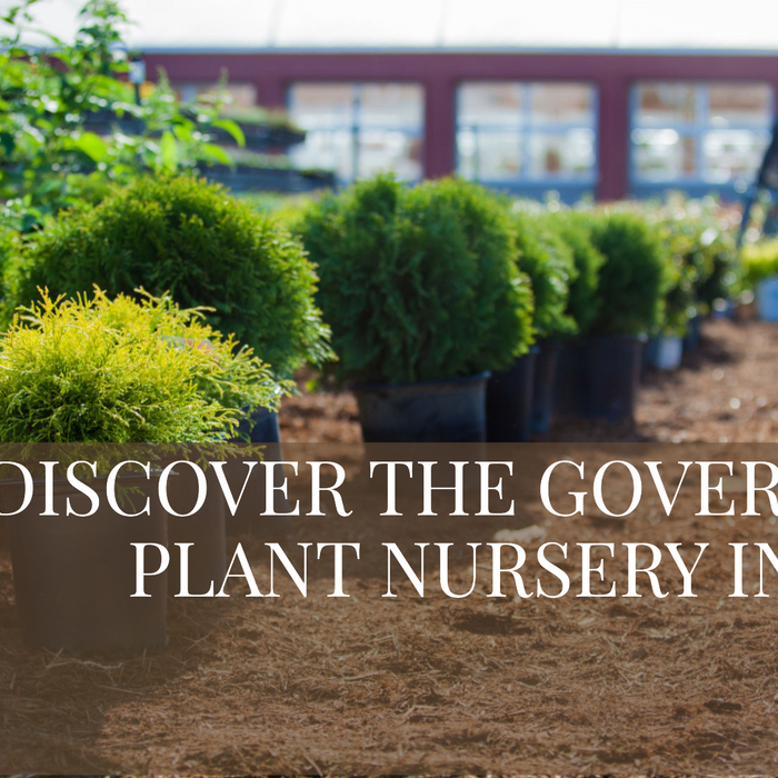 Government Plant Nursery in Delhi: What You Need to Know