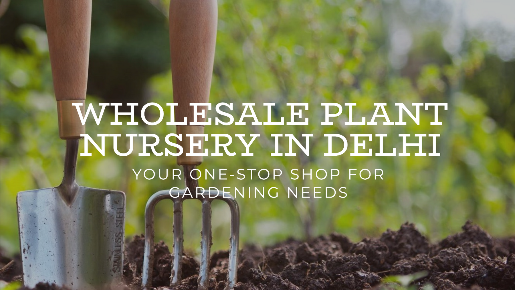 Why Choose a Wholesale Plant Nursery in Delhi for Your Gardening Needs?