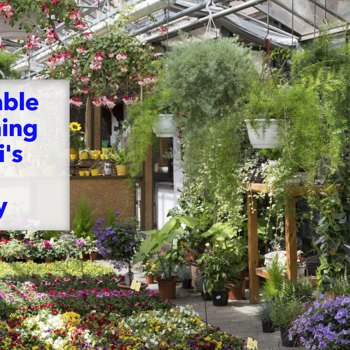 Best Plant Nursery in Delhi for Affordable Gardening