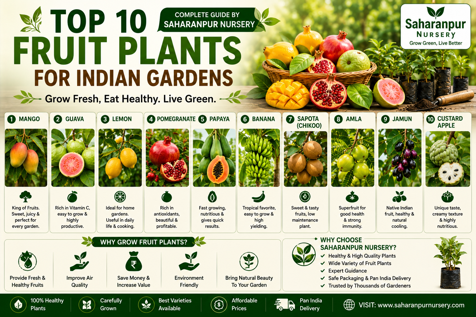 Best Fruit Plants for Indian Gardens (2026) | Top 10 Easy-to-Grow Fruit Plants by Saharanpur Nursery