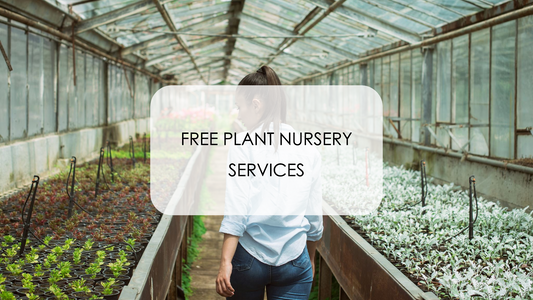 Where to Find Free Plant Nursery Services in Delhi