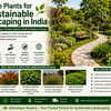 Best Native Plants for Sustainable Landscaping in India (2026 Guide) | Saharanpur Nursery