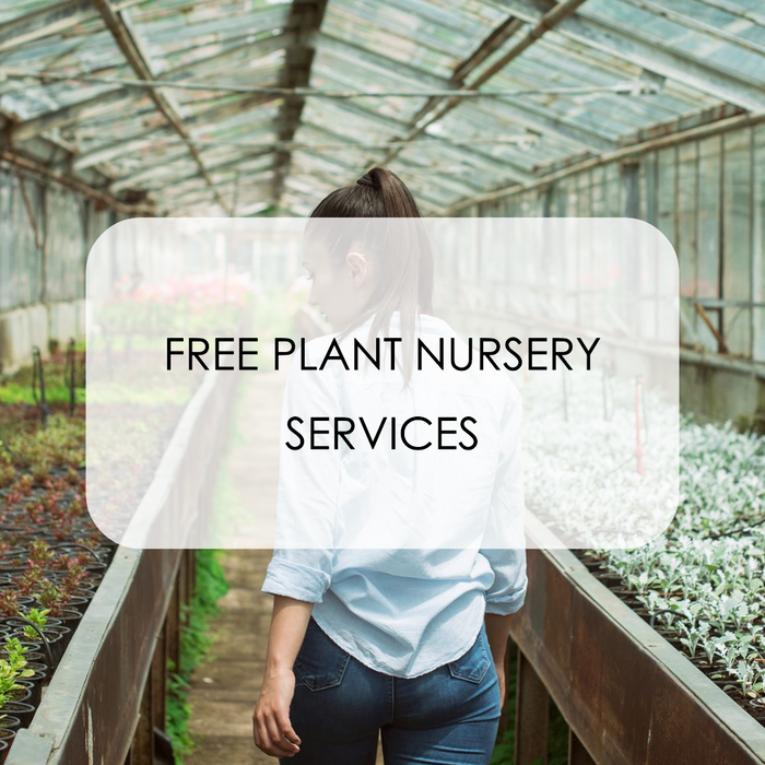Where to Find Free Plant Nursery Services in Delhi