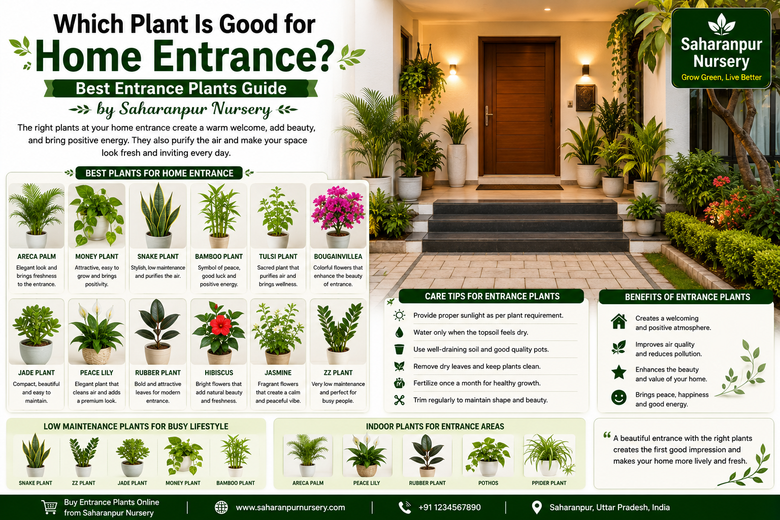 Which Plant Is Good for Home Entrance? | Best Entrance Plants Guide by Saharanpur Nursery (2026 Guide)