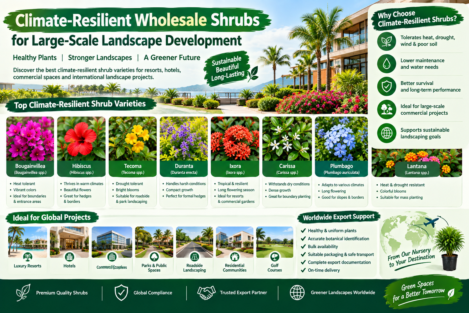 /climate-resilient-wholesale-shrubs-supplier/