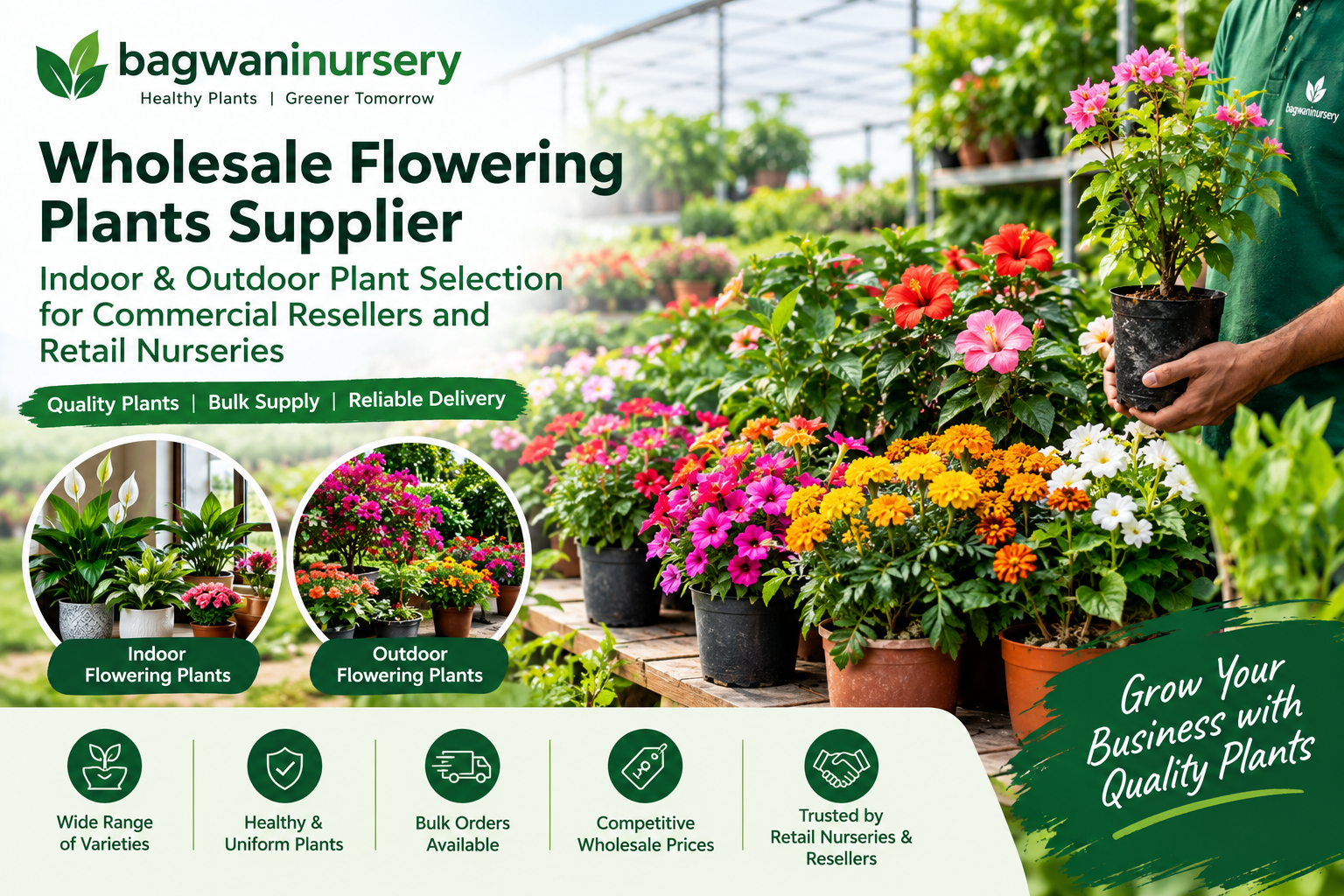 Wholesale flowering plants supplier for commercial resellers and retail nurseries in India