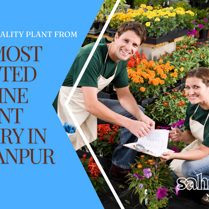 online nursery in saharanpur