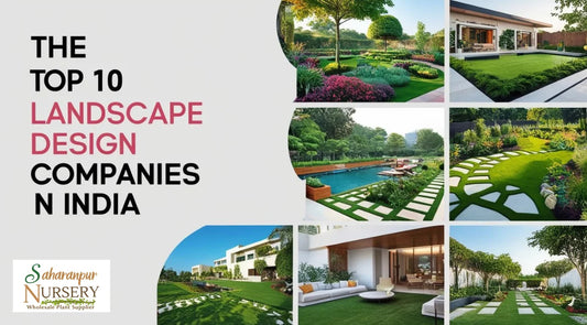 landscaping services, landscaping design, landscaping company, landscaping companies, garden landscaping, Landscaping companies in India, Landscaping in India