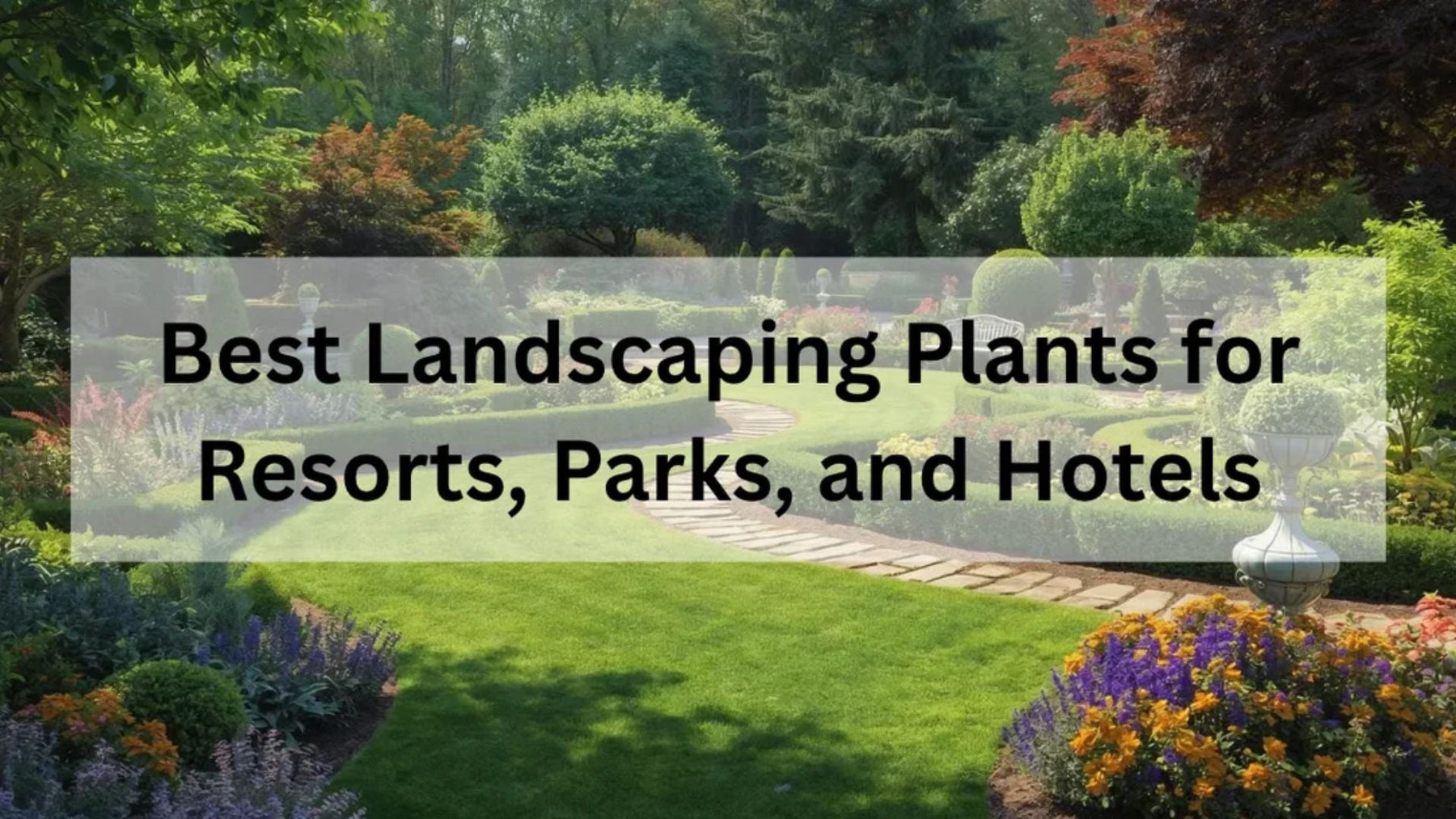 Best 20 Rare plants, resorts plants, hotel landscaping plants, private garden plants, wholesale plants