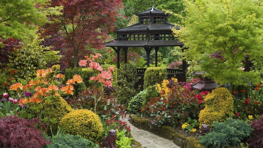 Best Nursery for Bulk Plants at Affordable Prices