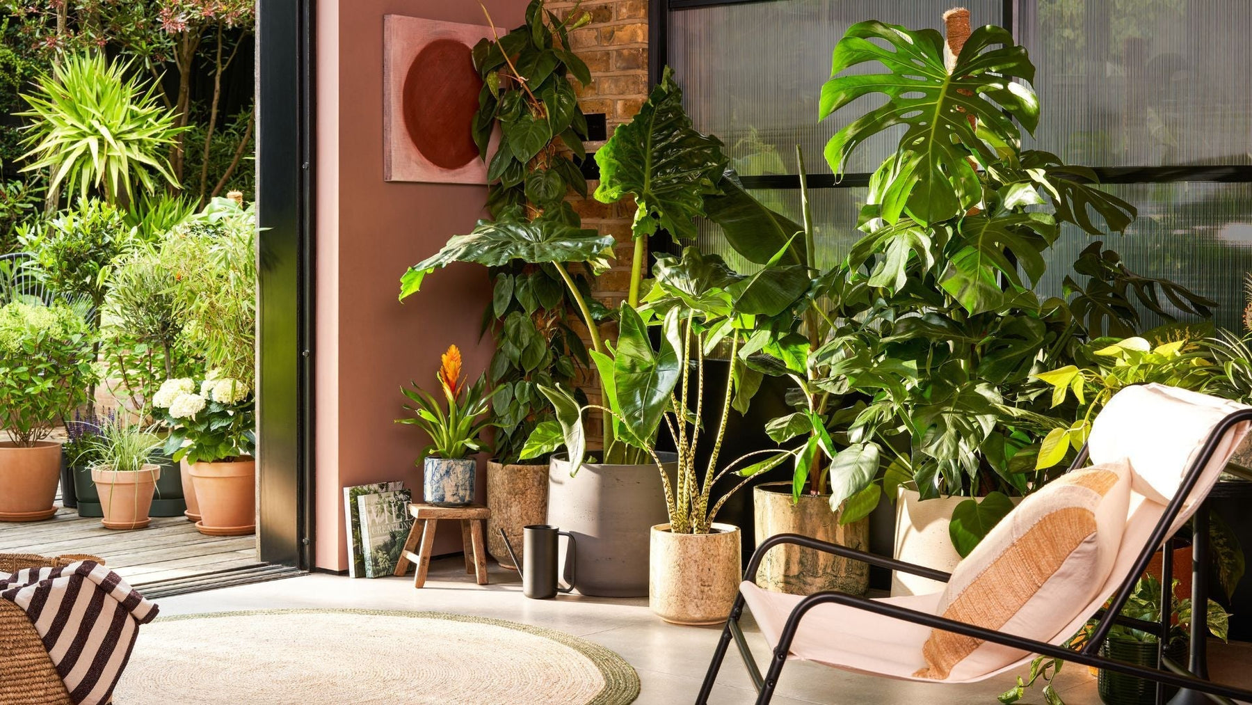 Best Indoor Plants for Home in India 2026 | Air Purifying Houseplants & Indoor Gardening Guide | Saharanpur Nursery