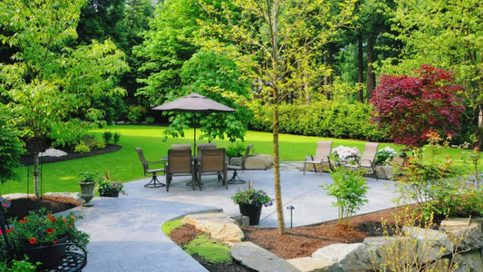 Top Landscaping Trees in India 2025 | Fast-Growing & Decorative Trees from Saharanpur Nursery