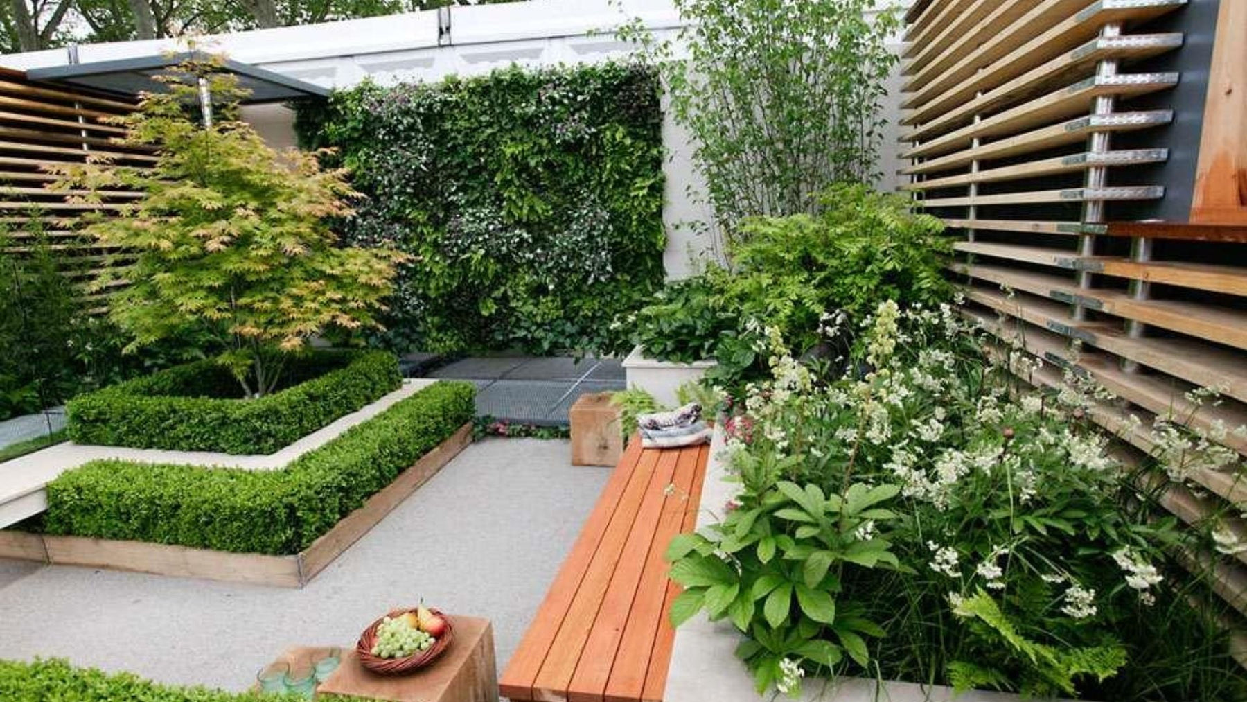 Top Gardening Mistakes to Avoid in India: Easy Tips for Healthy Plant Growth