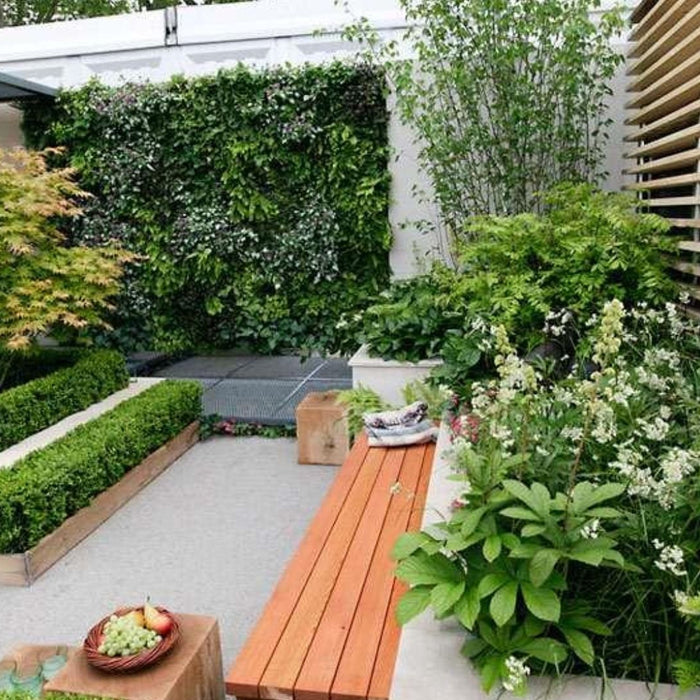 Top Gardening Mistakes to Avoid in India: Easy Tips for Healthy Plant Growth