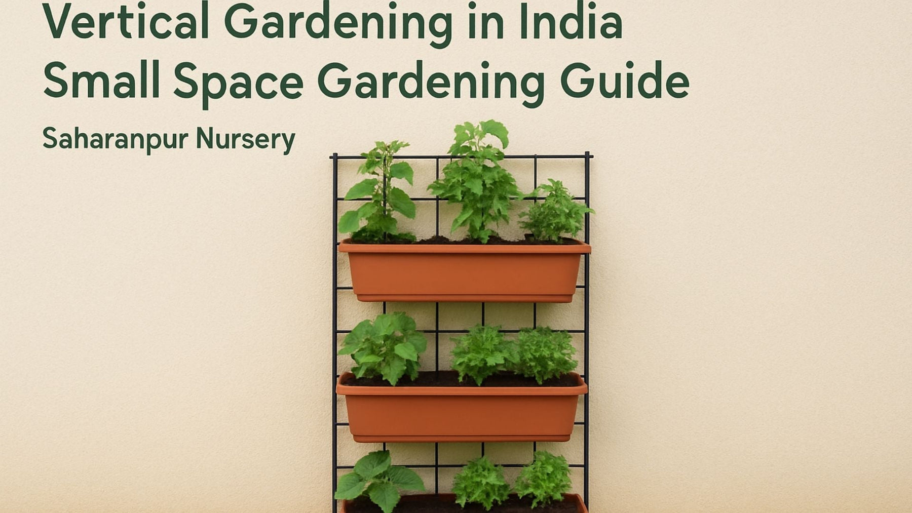 Vertical Gardening in India | Small Space Gardening Guide by Saharanpur Nursery