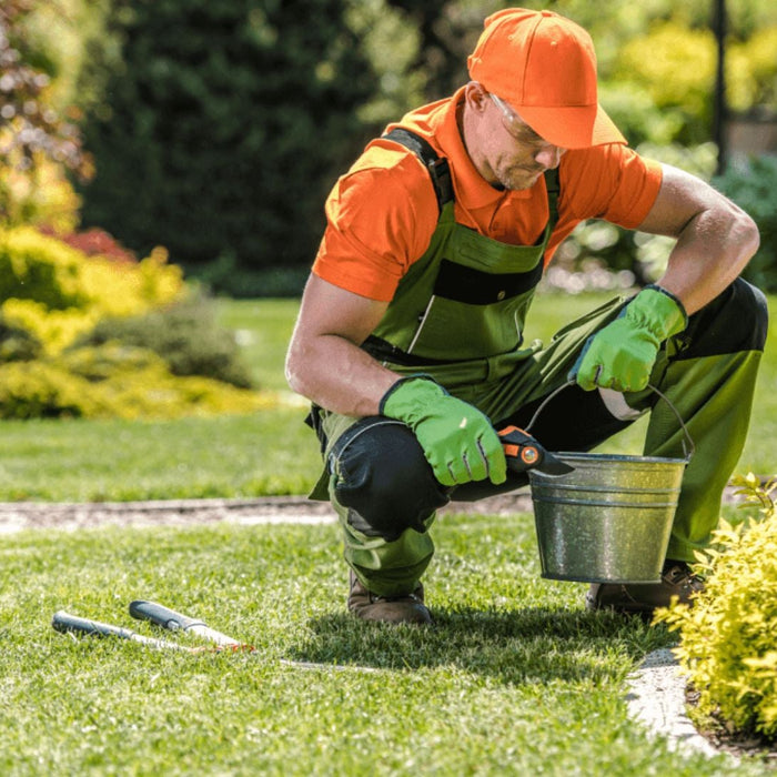 Best Winter Gardening Tips by Saharanpur Nursery – Top 10 Questions Solved