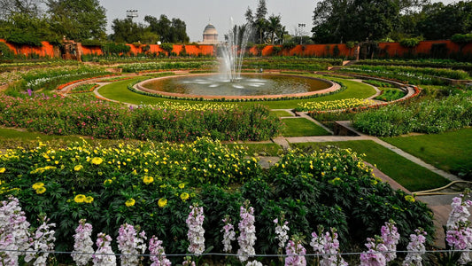 Top 10 Most Common Garden Plants for Indian Homes, Parks &amp; Landscapes