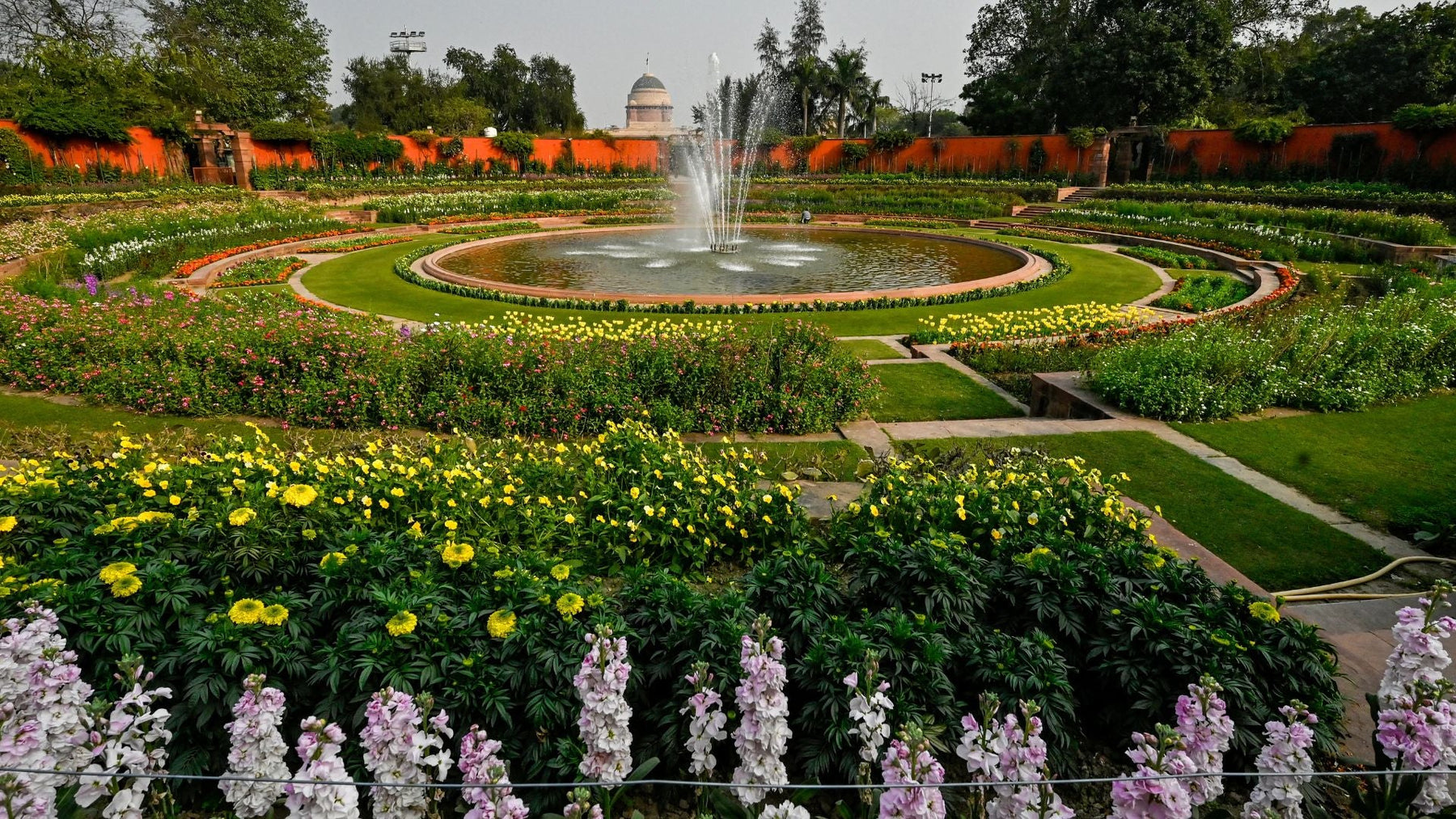 Top 10 Most Common Garden Plants for Indian Homes, Parks &amp; Landscapes