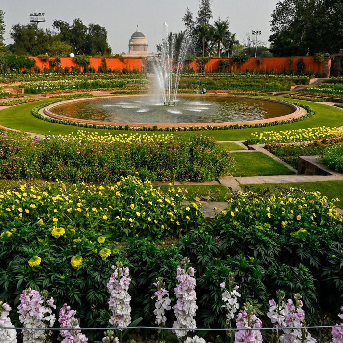 Top 10 Most Common Garden Plants for Indian Homes, Parks &amp; Landscapes