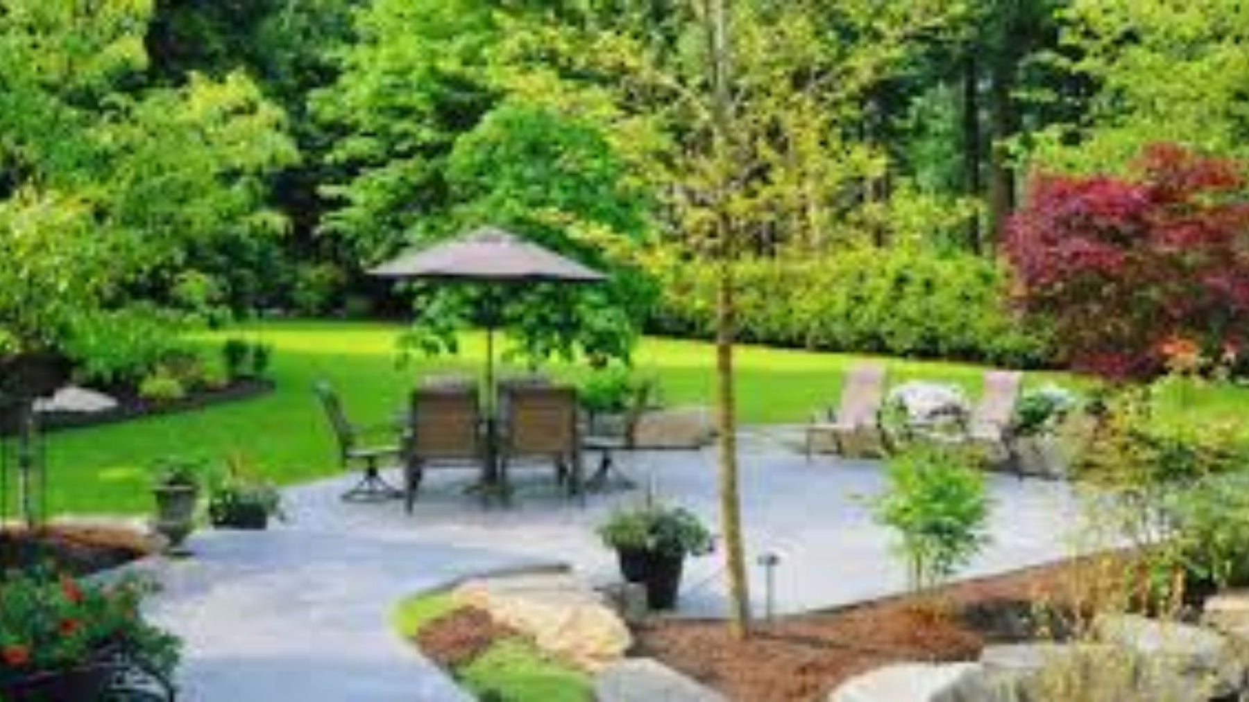 . Best Plants for Office Landscaping in India