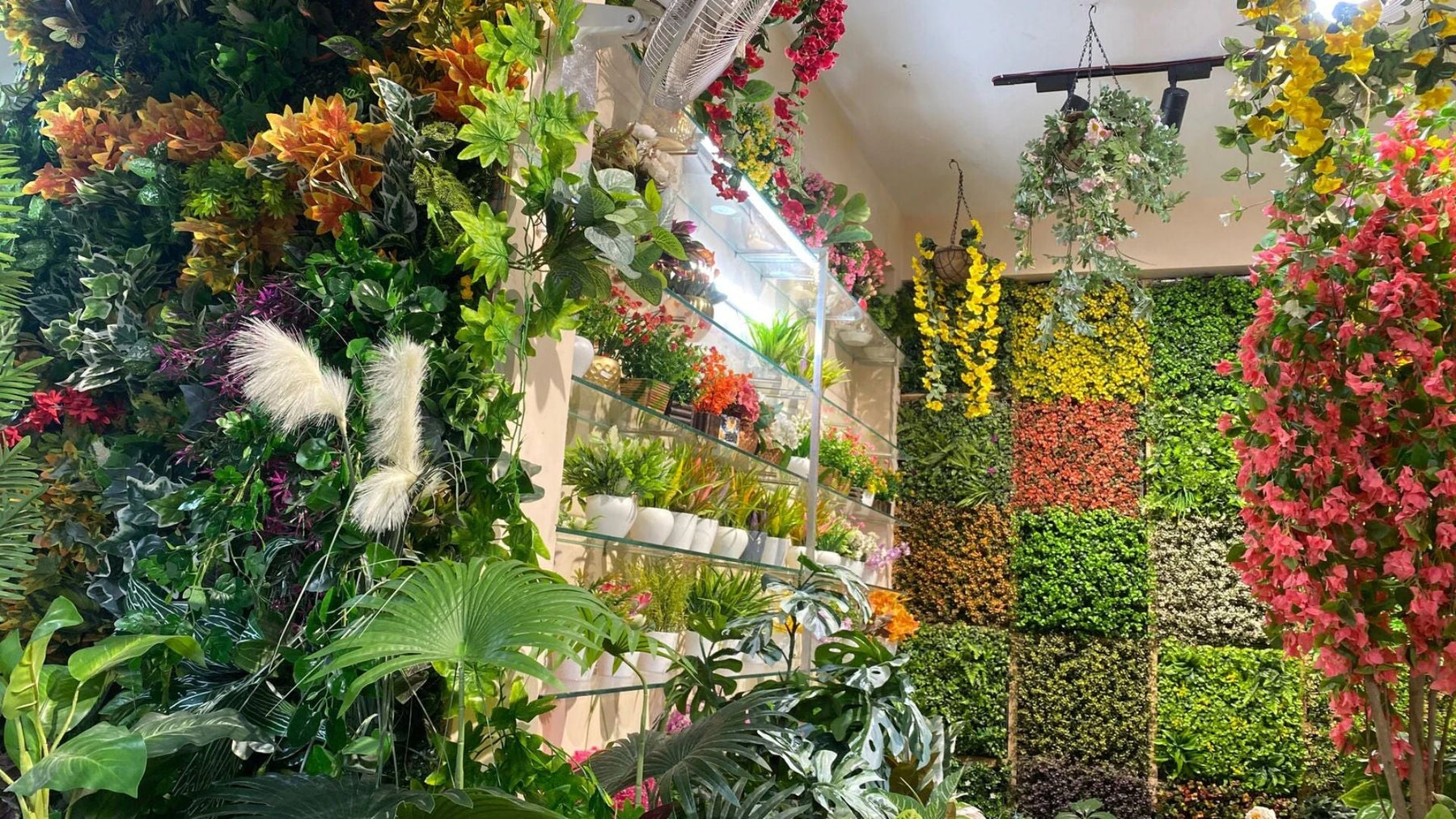 Buy Plants Online from Saharanpur Nursery | Wholesale & Retail Plant Supplier in India
