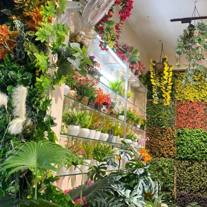 Buy Plants Online from Saharanpur Nursery | Wholesale & Retail Plant Supplier in India