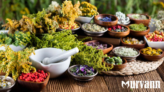 Top Medicinal Plants to Grow at Home in India