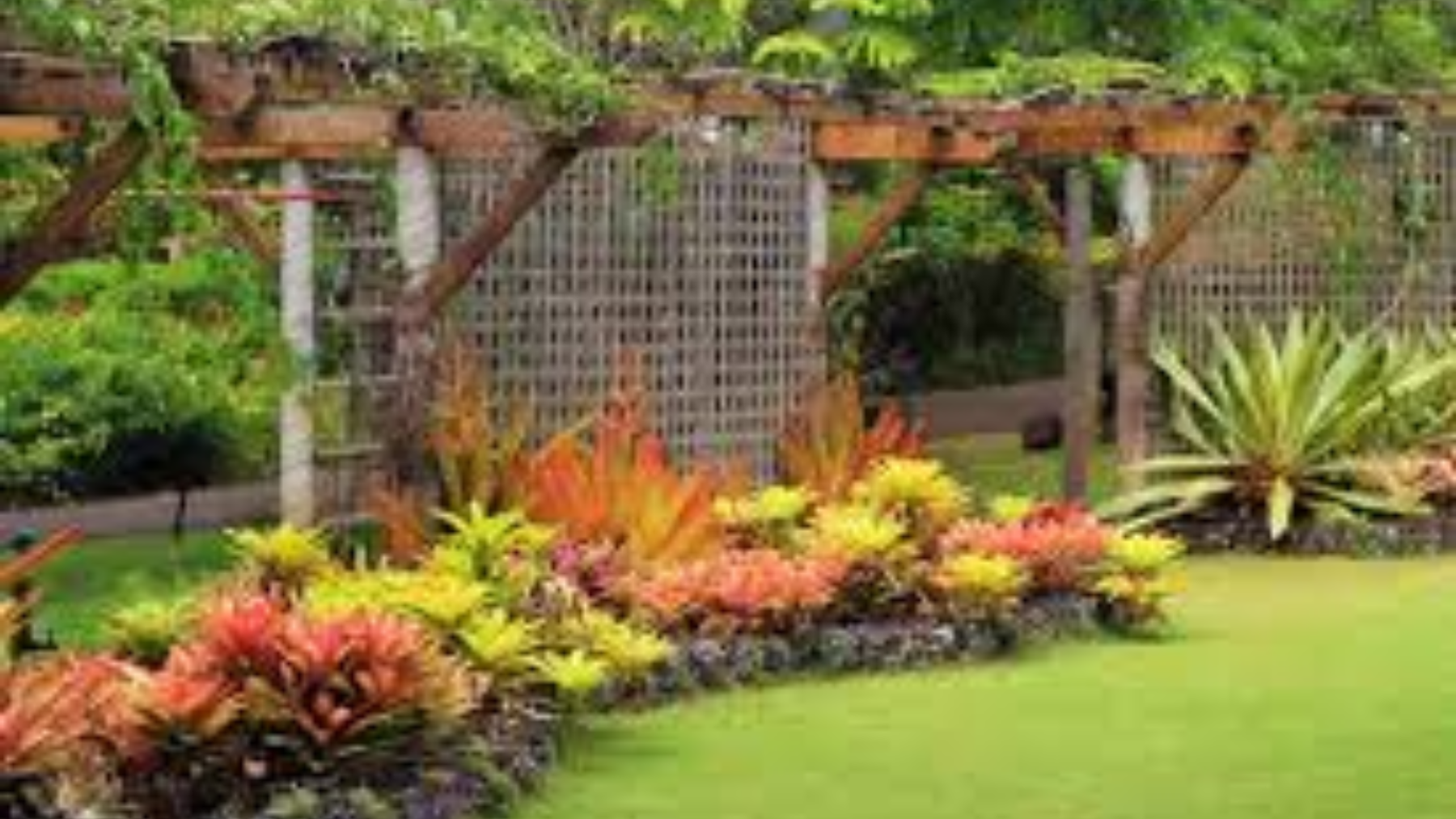 Best Plants for Resort & Hotel Landscaping in India