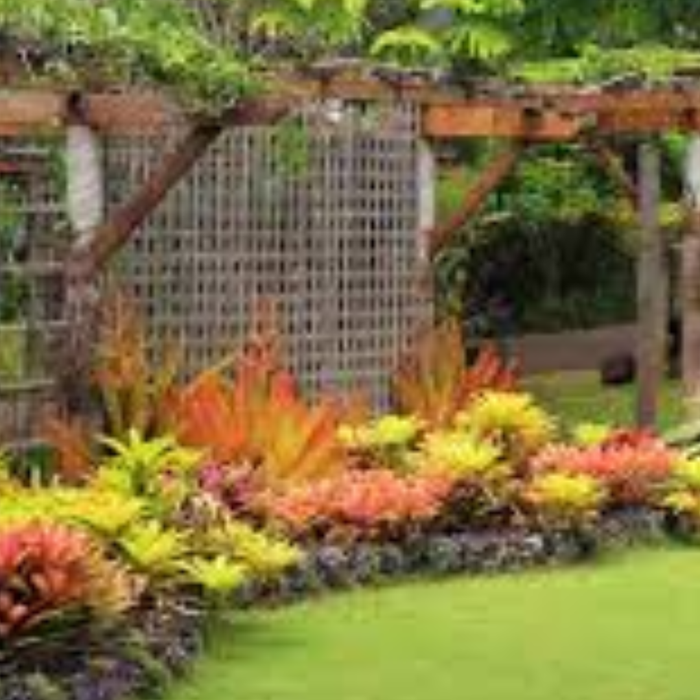 Best Plants for Resort & Hotel Landscaping in India