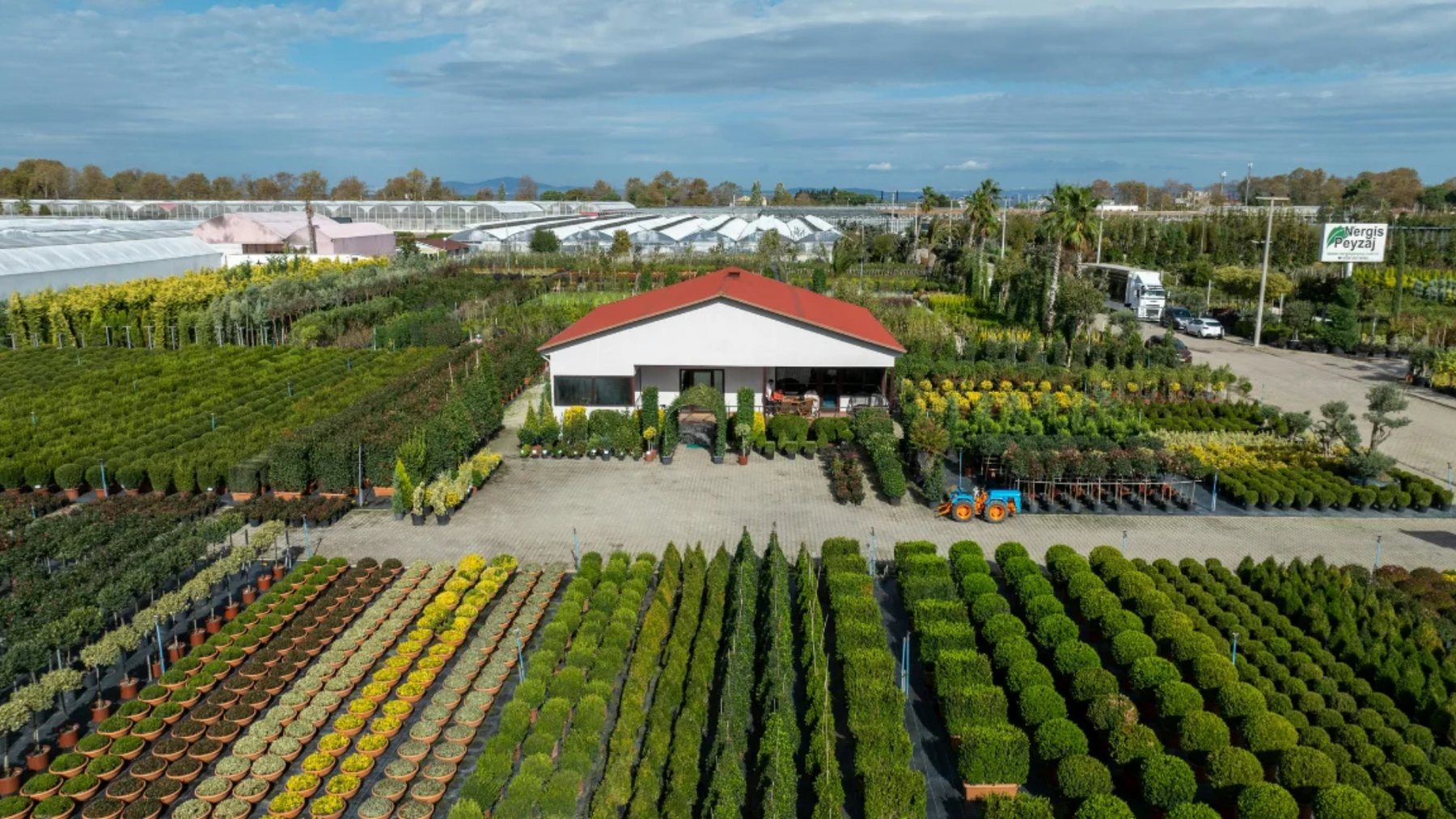 Bulk Plant Suppliers in India – How to Choose the Best Nursery