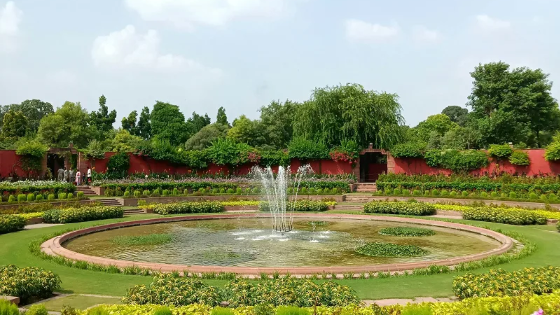 Best Plants for Hot Climate Cities in India (Delhi, Rajasthan, UP, Haryana Guide)