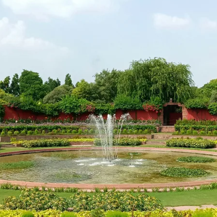 Best Plants for Hot Climate Cities in India (Delhi, Rajasthan, UP, Haryana Guide)