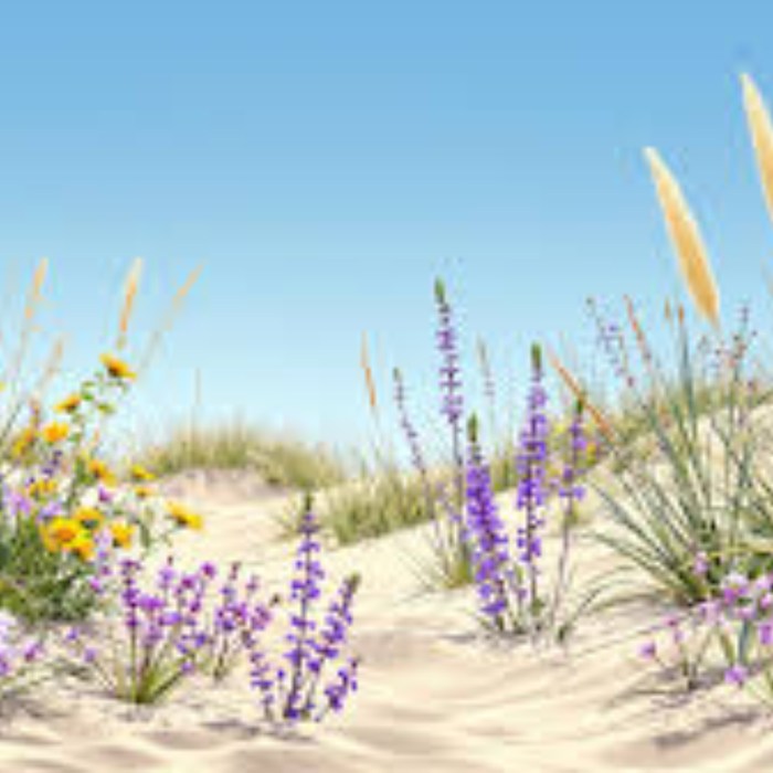 Best Plants That Grow Fast in Sandy Soil in India