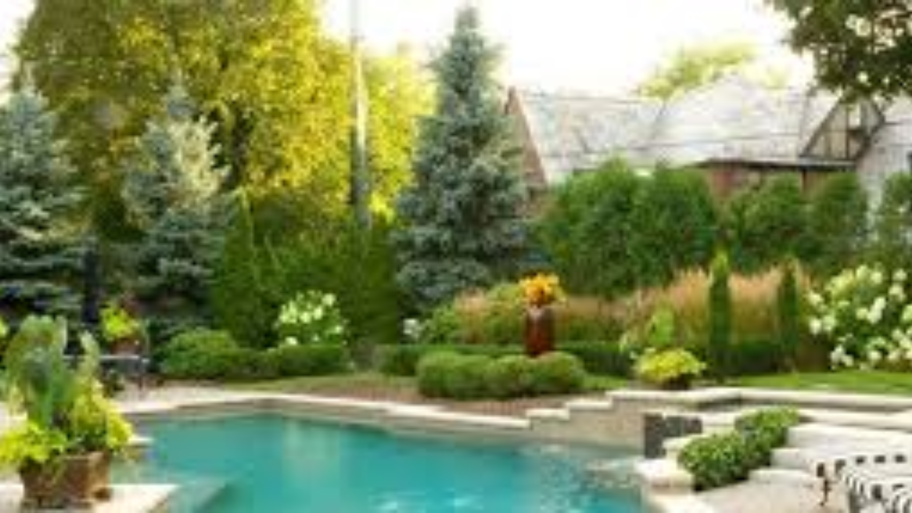 Plants That Make Your Garden Look Expensive (Premium Landscape Plants)