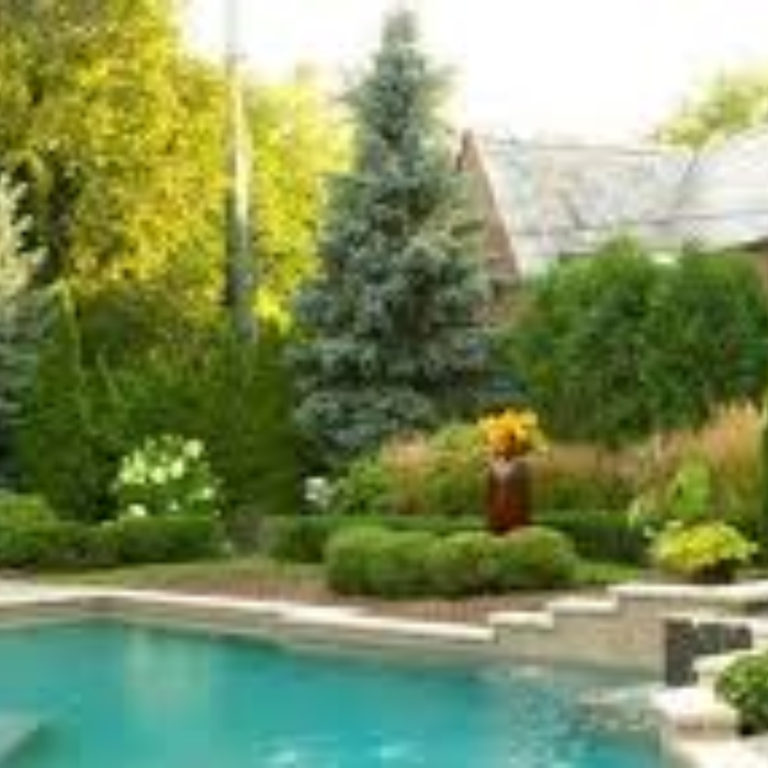 Plants That Make Your Garden Look Expensive (Premium Landscape Plants)