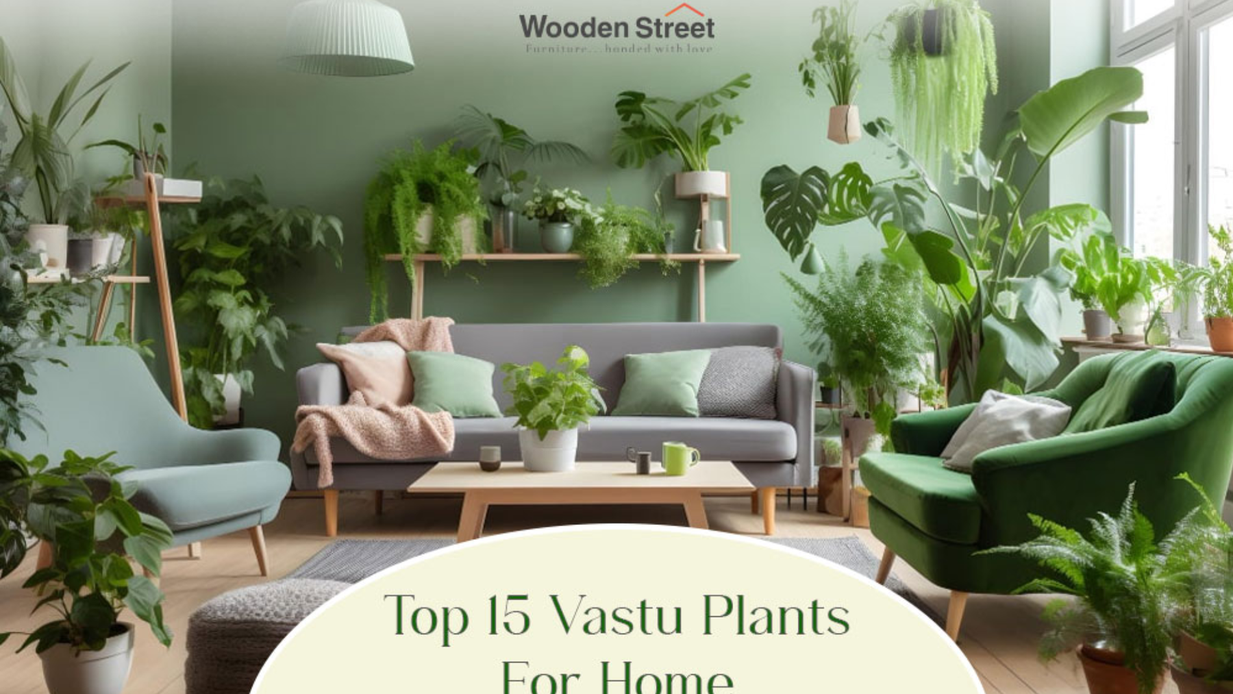 Top 25 Outdoor Plants for Indian Homes That Need Very Little Care