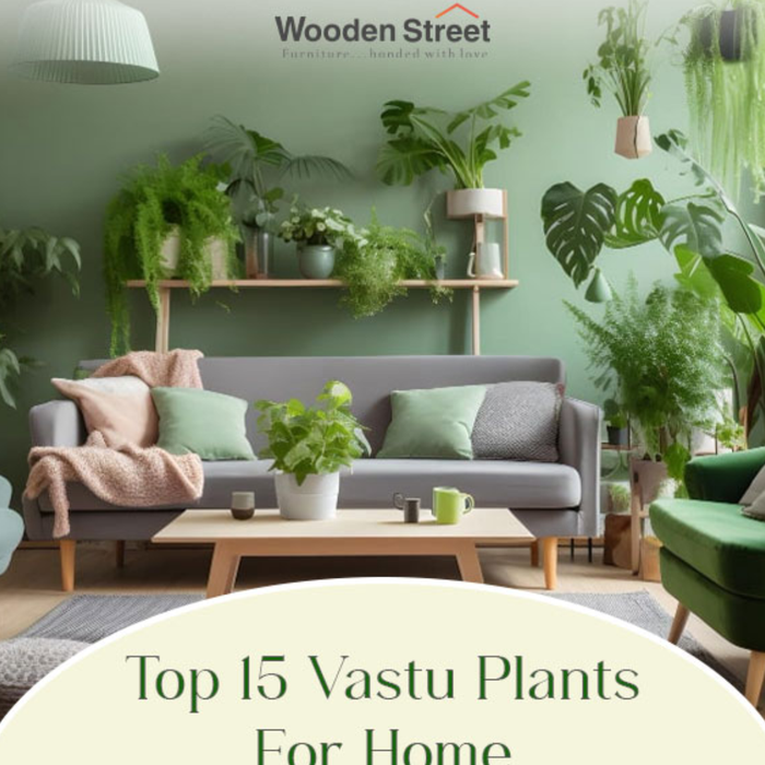 Top 25 Outdoor Plants for Indian Homes That Need Very Little Care