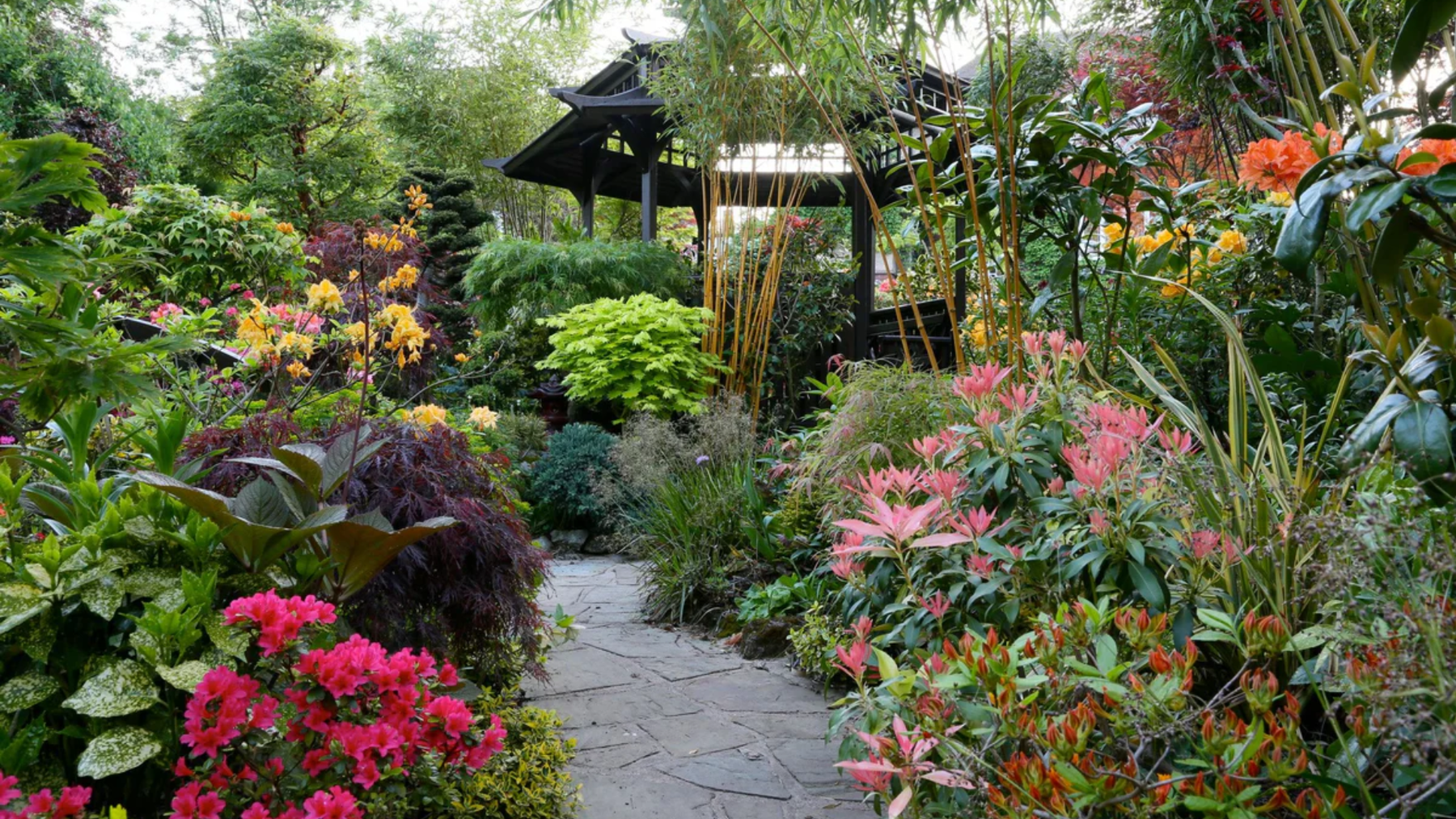 Best Plants for Front Yard Landscaping in India (Complete Guide)