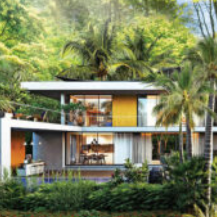 Best Landscaping Plants for Modern Villas, Resorts & Farmhouses in India (Complete Guide)