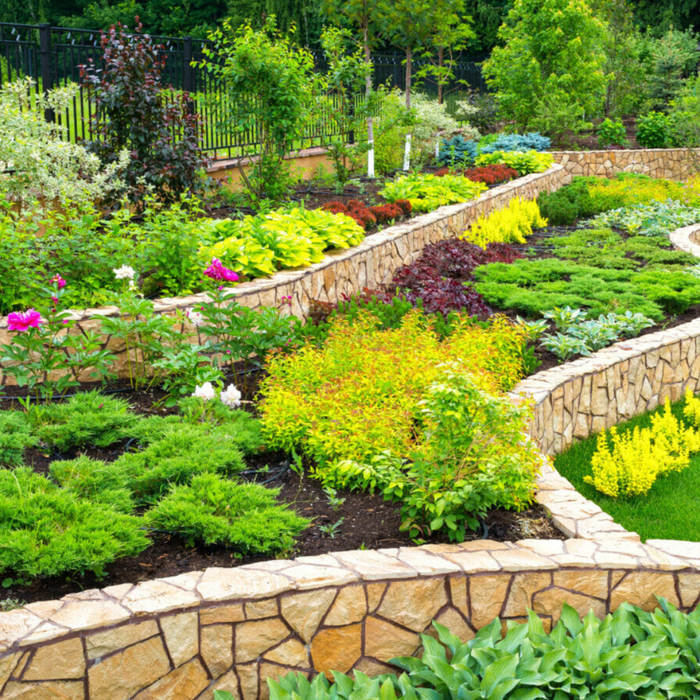 Landscape Design: Transforming Spaces with Nature