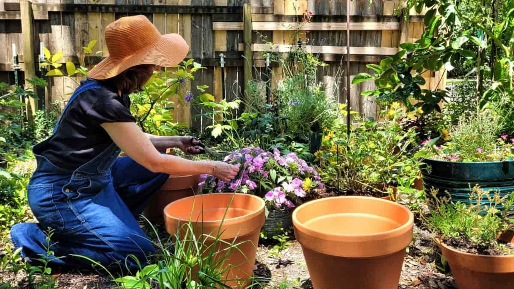 Green Thumb Guide: How to Choose the Perfect Plants for Your Indian Garden