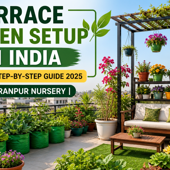Terrace Garden Setup in India – Complete Step-by-Step Guide 2025 | Saharanpur Nursery
